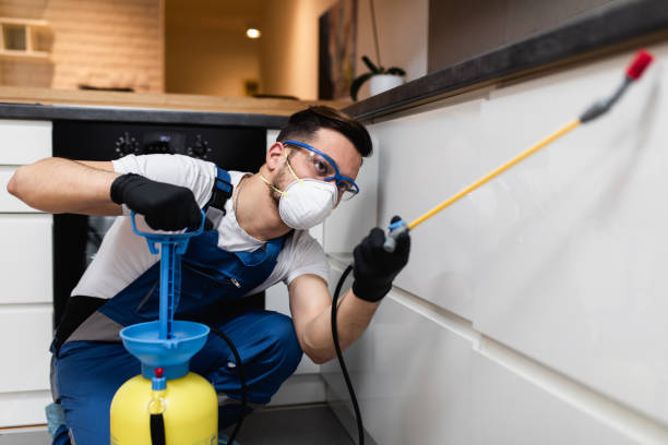 Best Pest Control Near Me  in Hudson Falls, NY