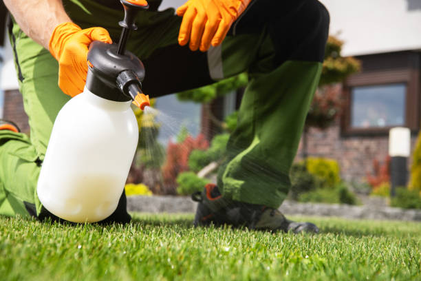 Best Flea Control Services  in Hudson Falls, NY