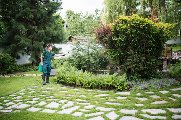Best Residential Pest Control  in Hudson Falls, NY