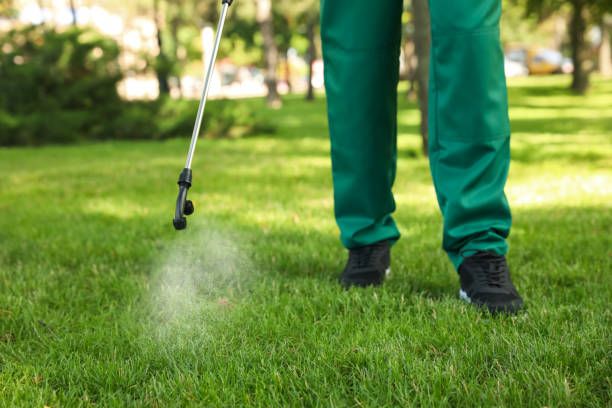 Best Pest Removal Services  in Hudson Falls, NY