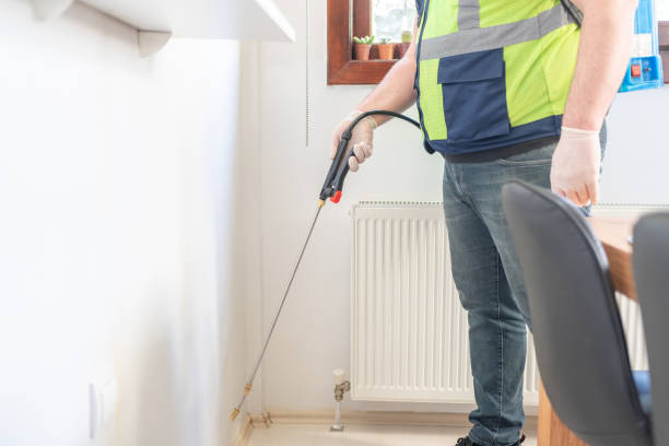 Best Pest Prevention Services  in Hudson Falls, NY