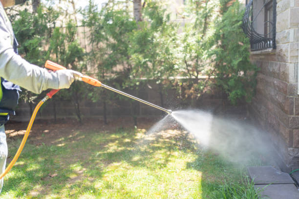 Best Wildlife Control Services  in Hudson Falls, NY