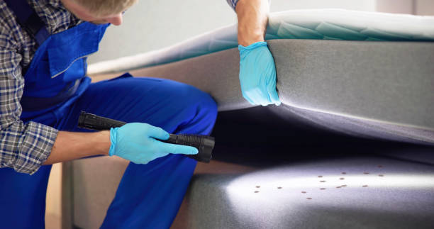 Best Wasp Removal Services  in Hudson Falls, NY