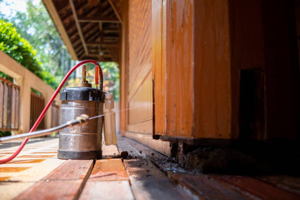 Best Best Pest Control Companies  in Hudson Falls, NY