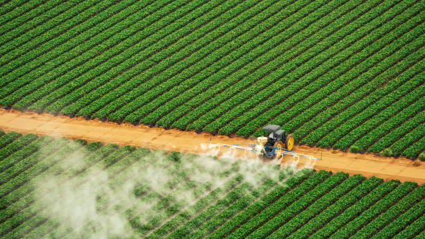 Best Mosquito Control Services  in Hudson Falls, NY